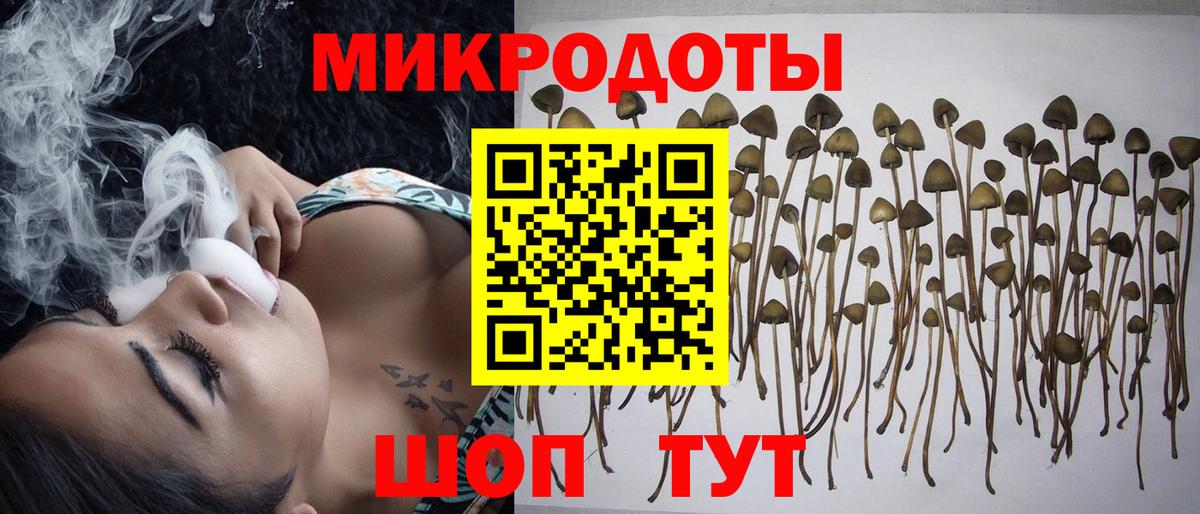Камышлов  Галлюциногенные грибы мухоморы  Псилоцибиновые грибы Magic Shrooms  Вход с VPN 