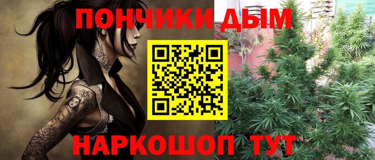 Марихуана сатива  Вход с VPN  Камышлов  Бошки марихуана ГИДРОПОН 